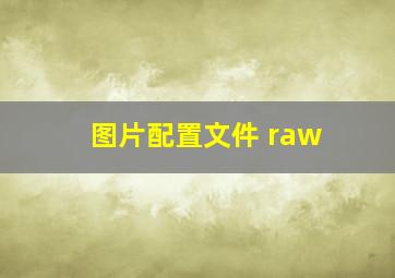 图片配置文件 raw